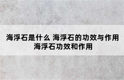 海浮石是什么 海浮石的功效与作用 海浮石功效和作用